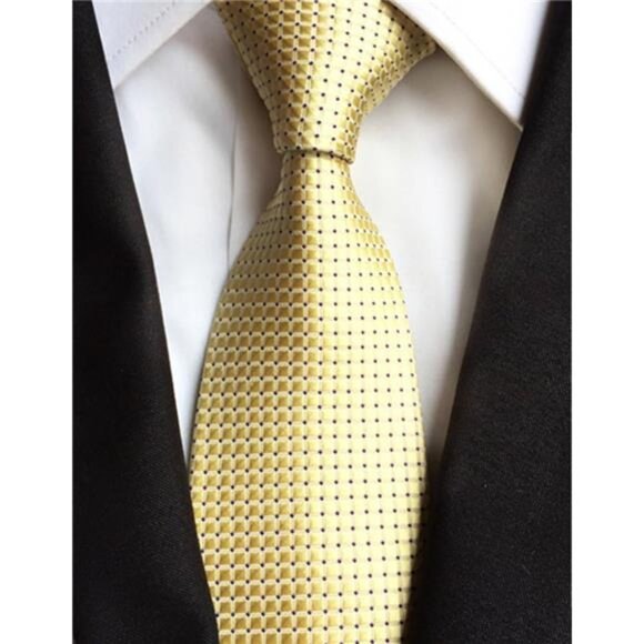 Men's Necktie Classic Silk Tie Woven Jacquard Neck Ties - Picture 7 of 8